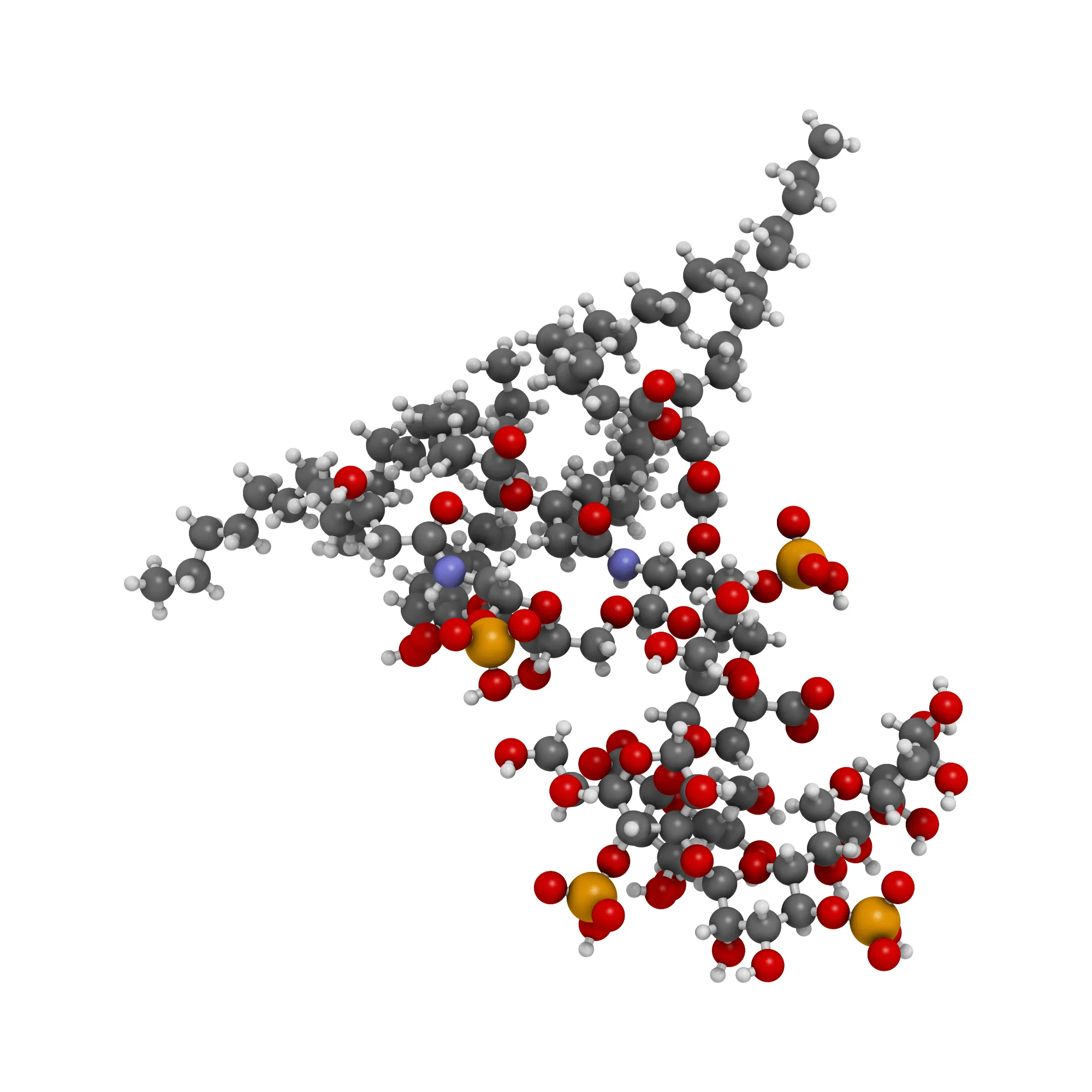 Endotoxin molecule