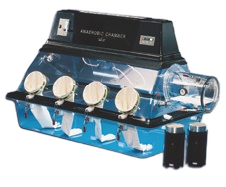 Controlled-Atmosphere-Chamber-with-Two-Heaters-1.png