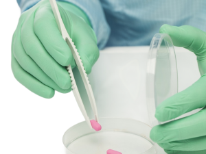 Sterile-BioClean-Fusion-1.png