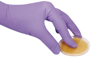 plates.png