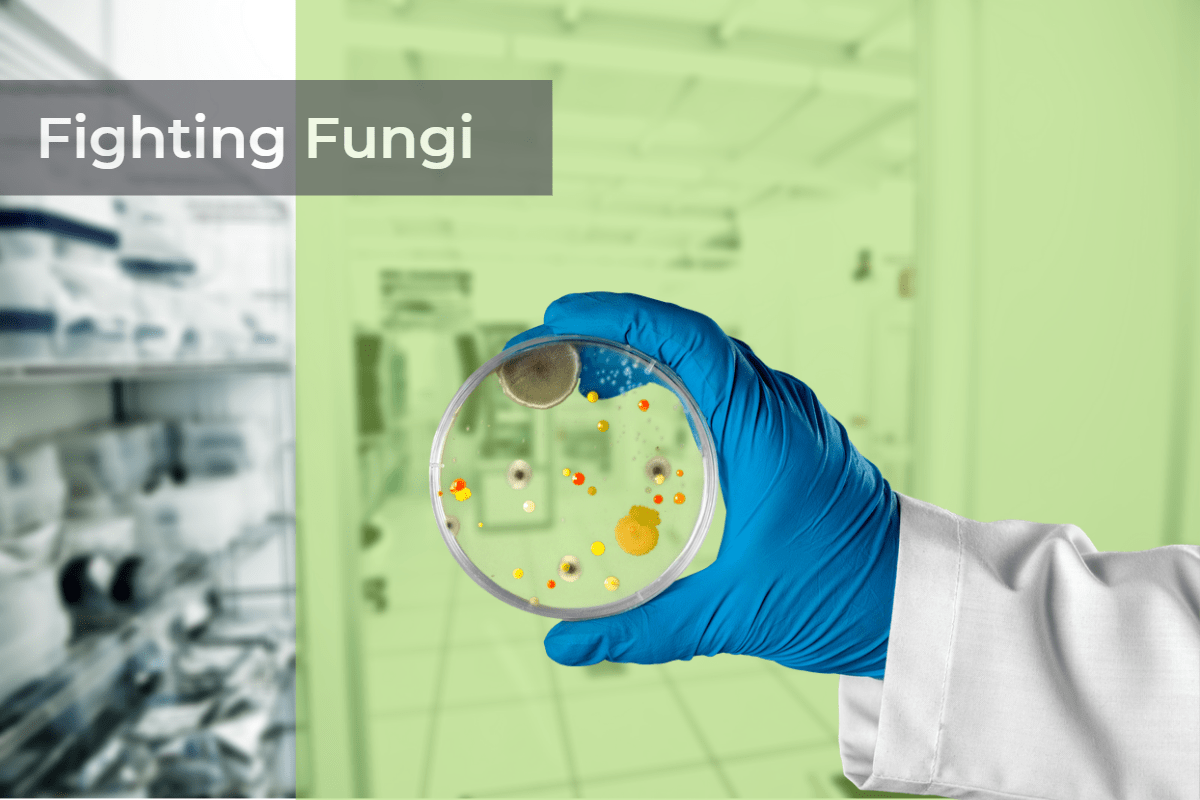 Fighting Fungi: Preventing Mold Contamination in Sterile Manufacturing Facilities