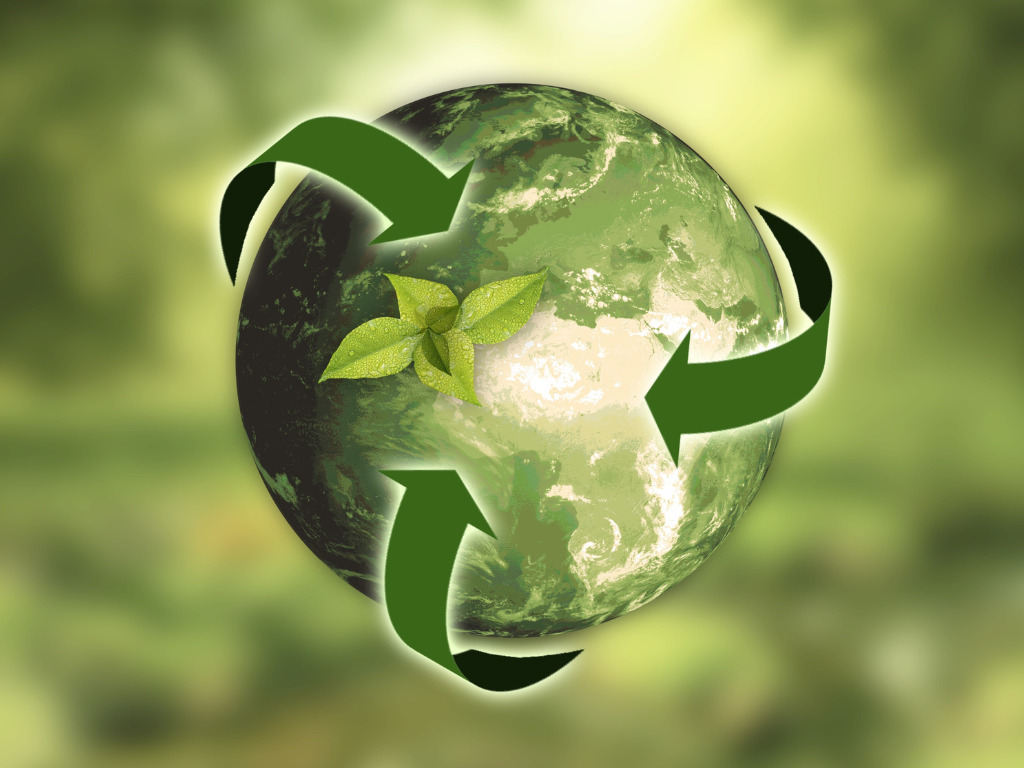 Introducing Benchmark Products' New Sustainability Program