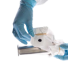 T2ASHEET-2.png
